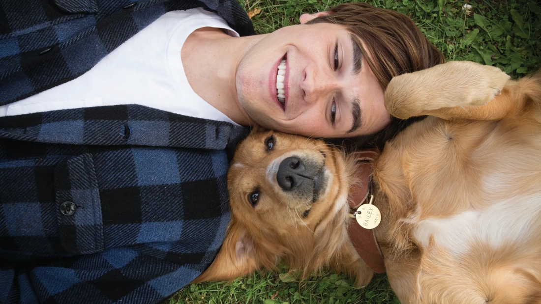 Top 5 Dog Movies Worth Watching