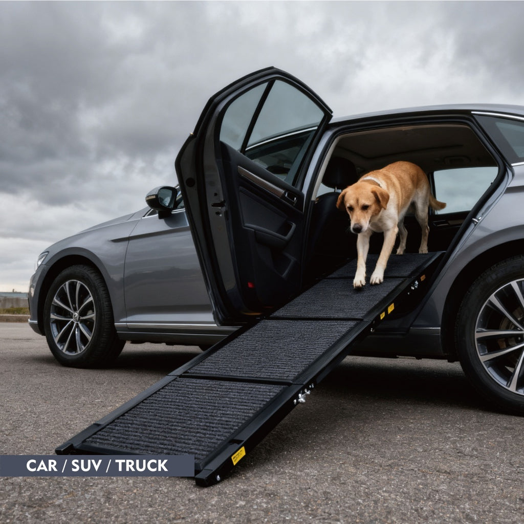Portable Dog Ramp