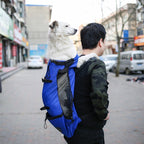 Pet Bag Carrier