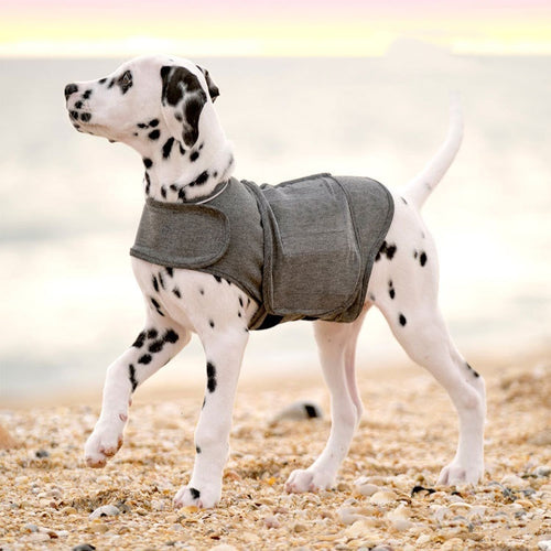 Dog Warm Vest